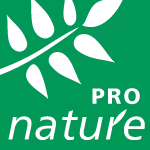 Formes abstraites noires sur fond vert.